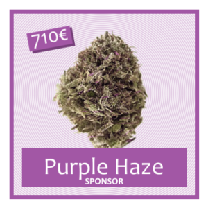 Purple HAZE Sponsor (710€)